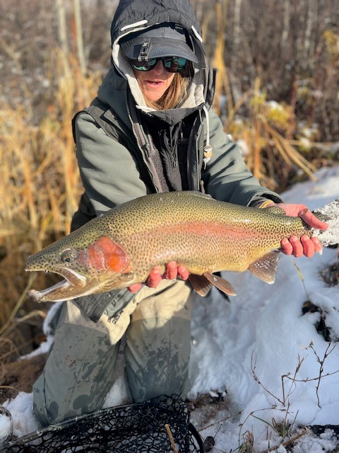 Fly of the Week with @anna_on_the_fly | Mercury Midge
